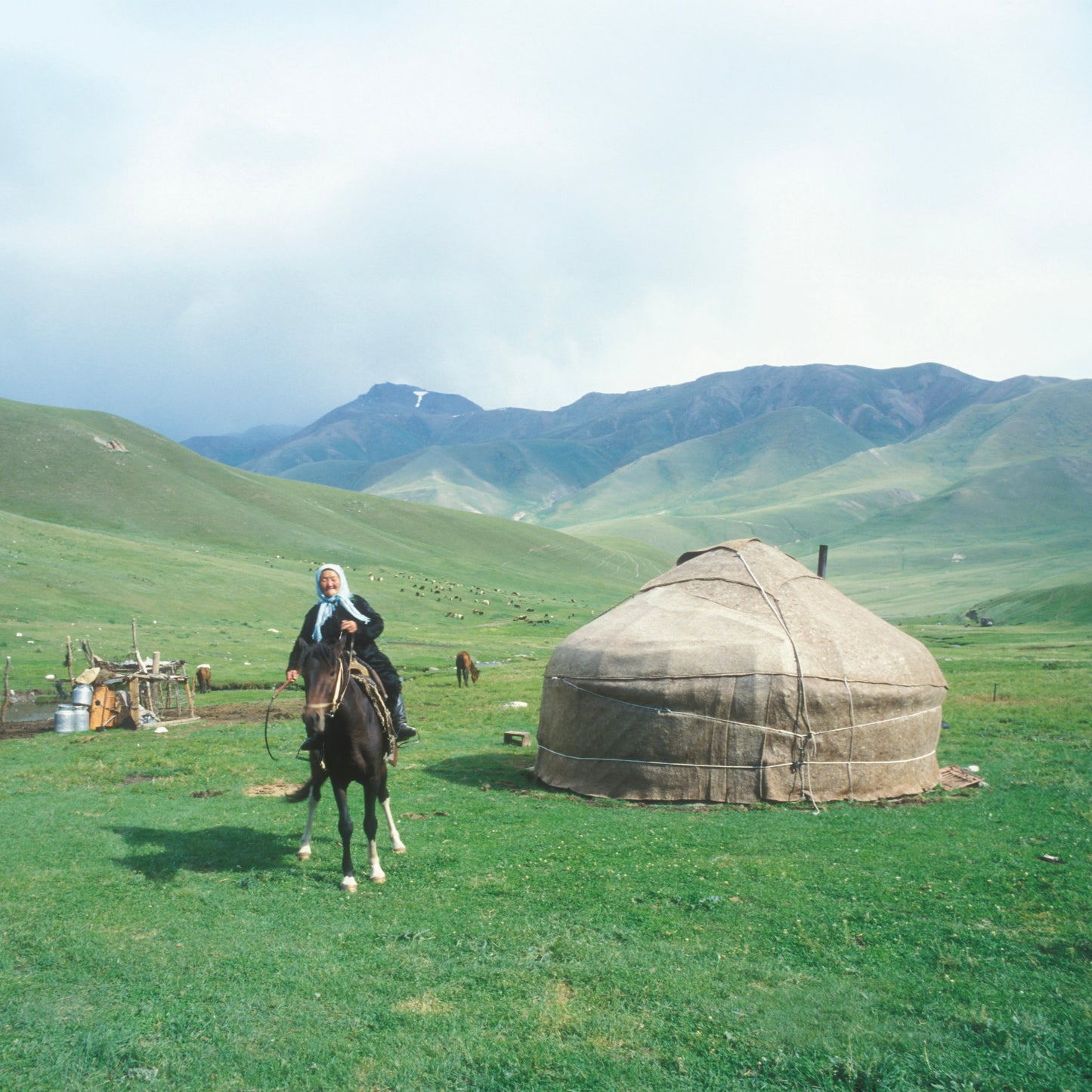 Issue 123: Silk Road