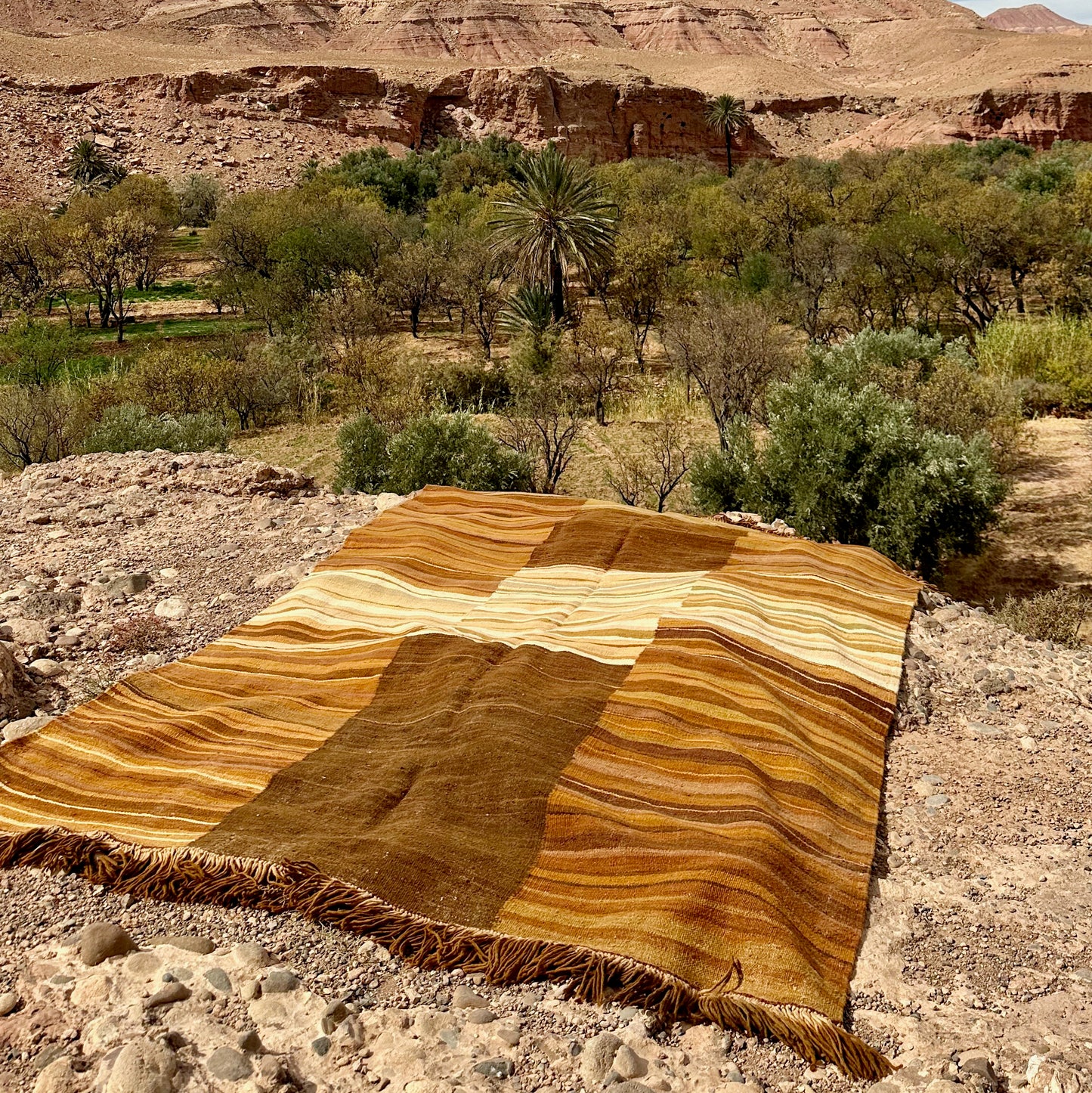 Morocco, Atelier Talasin, Tayri Rug