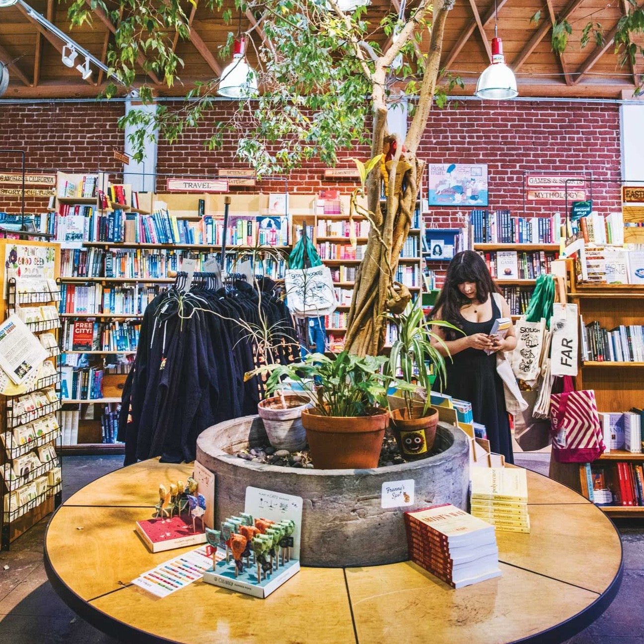 USA, California, Skylight Books